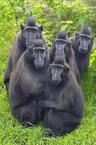 http://mmbiz.qpic.cn/mmbiz/eLVqIvnPUdNS1wFIhTtYv3T7oCkBibrOHhVjex7SQ3pOZO2odCW81IJ9QszbfFs83FV3p0B6fPC1fkKOribcCy9w/0?wxfrom=5&wx_lazy=1