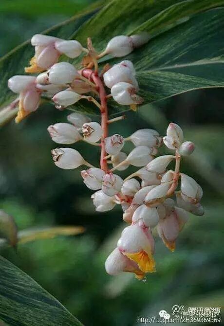 8种最无效的暑假学习方法！80%的孩子都犯了，赶快纠正孩子！