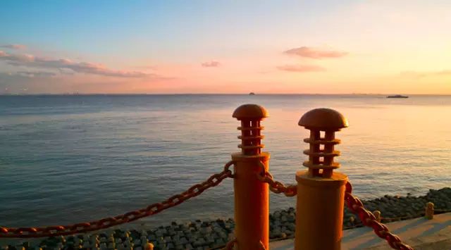 崇明岛一日游_崇明2日游攻略_崇明前卫村一日游