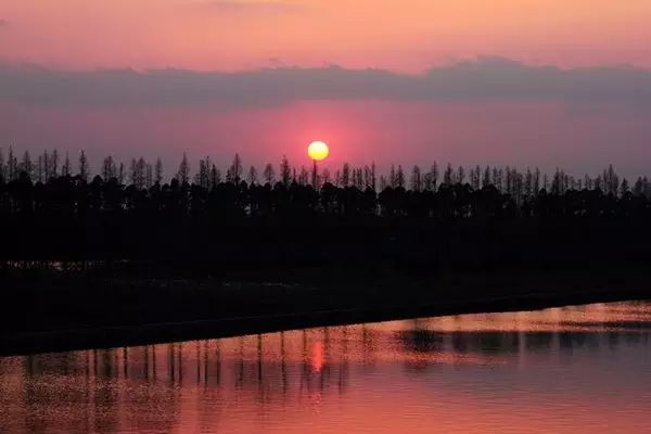 崇明2日游攻略_崇明岛一日游_崇明前卫村一日游