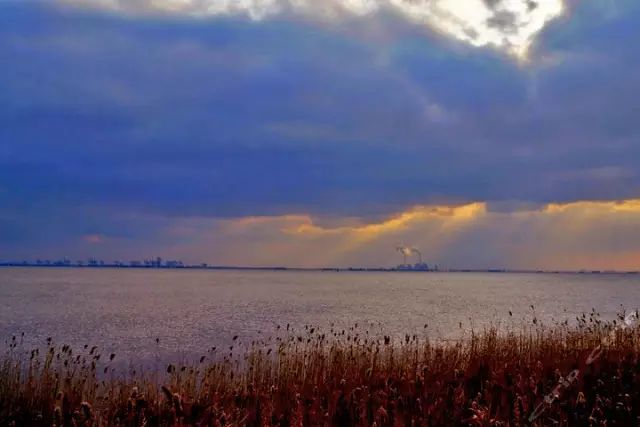 崇明岛一日游_崇明2日游攻略_崇明前卫村一日游