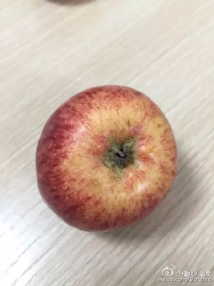 续集:植物学家教你挑苹果!好吃的富士来袭 果壳 科技有意思