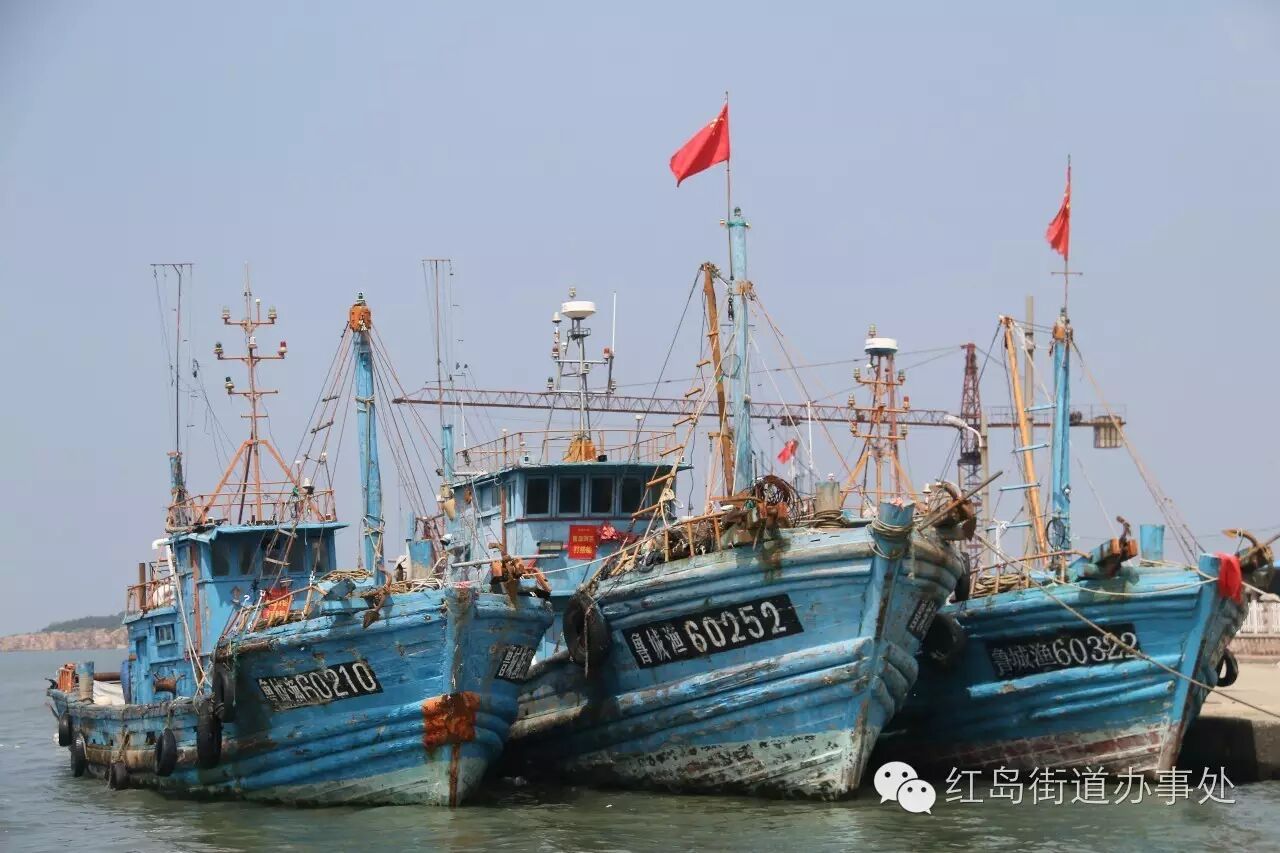 红岛中心渔港码头