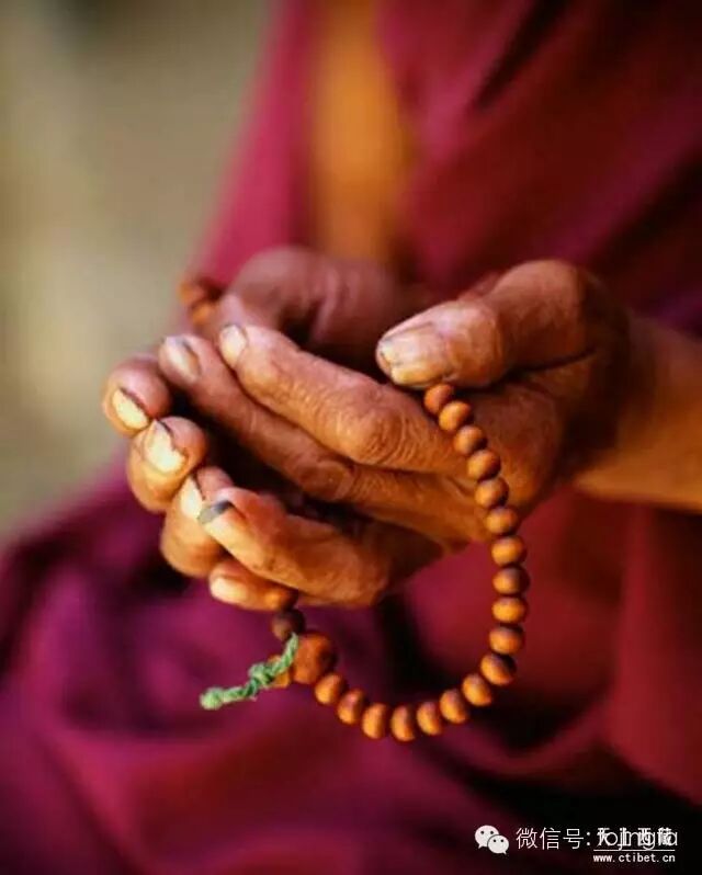 不为超度,只为触摸你的指尖.