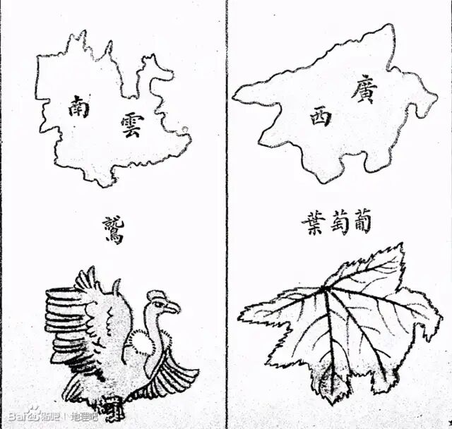 圖片
