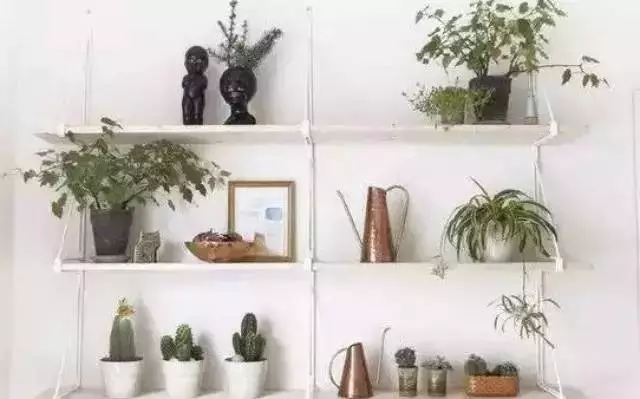 你家没地方种花?6招教你打造室内花园! 你家没地方种花?6招教你打造室内花园!