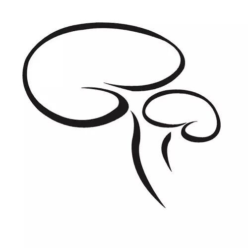 「 专注灵芝应用 」   认可价值,动手转发,每晚10点更新