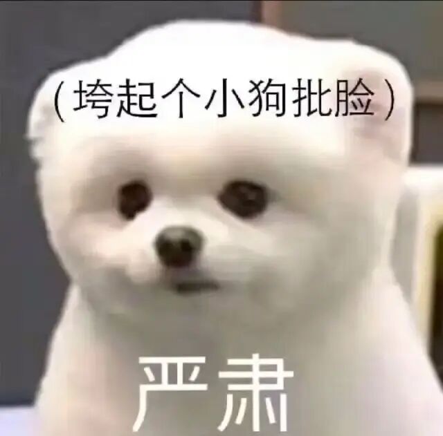 王思聪撩不到的学霸白富美，爱上换头照骗男频繁翻车…（组图） - 33