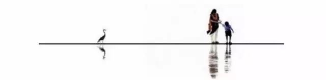 为了被耶鲁录取,我隐匿了华裔的身份!