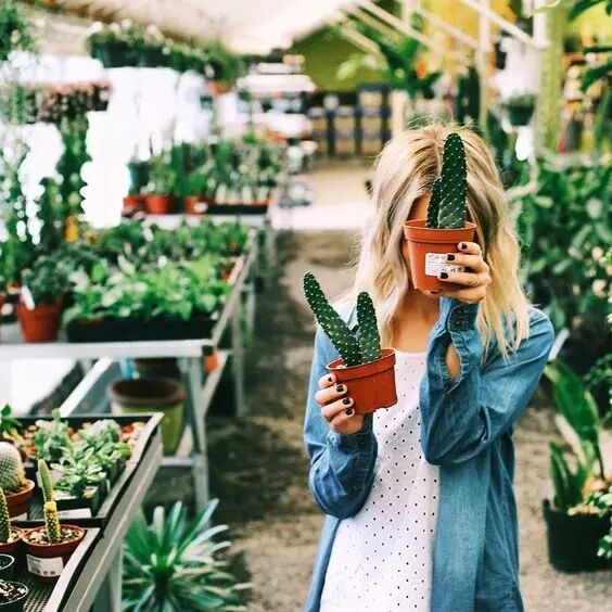 多肉，怎样都好看！