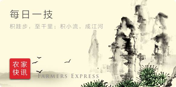 乙草胺除草剂_乙草胺除草剂对水稻苗床_乙草胺除草剂对果树有害吗
