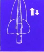 牙胶尖什么颜色​牙齿“晓”“技”｜最全根管治疗的标准步骤，以及细节把握_https://www.jmylbn.com_新闻资讯_第13张