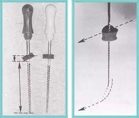 牙胶尖什么颜色​牙齿“晓”“技”｜最全根管治疗的标准步骤，以及细节把握_https://www.jmylbn.com_新闻资讯_第20张