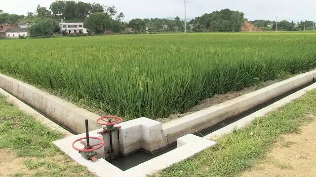 侵占,损毁农田水利工程设施须担责