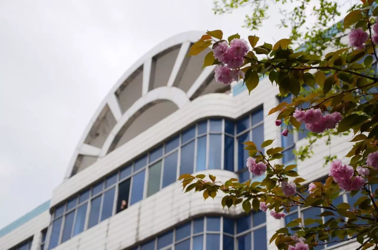 草塔中学这两年是一年比一年美.草塔中学你懂的!