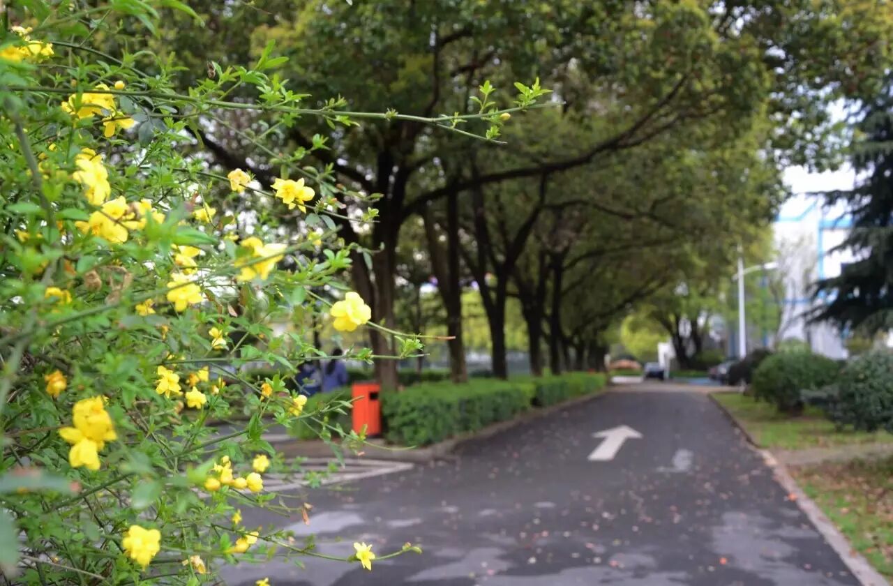 草塔中学这两年是一年比一年美.草塔中学你懂的!