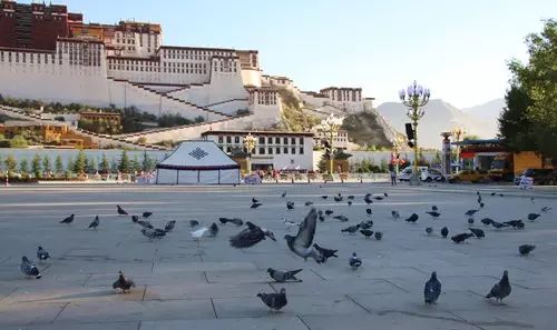 這是真實的西藏，既不是消毒液也不是忘情水！ 旅行 第14張