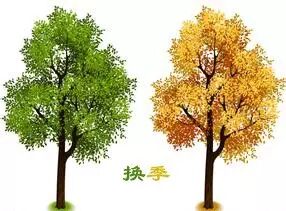 秋冬季节头皮需要怎样养护？