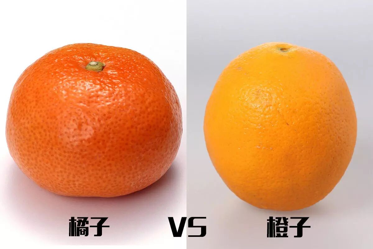 买票前必看!学会了这些才敢抢票(拿走不谢)