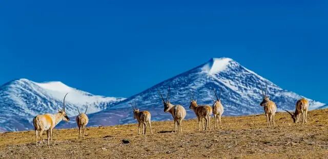 翡翠湖和茶卡盐湖哪个好_翡翠湖在哪里_翡翠湖旅游攻略