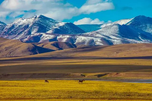 翡翠湖在哪里_翡翠湖旅游攻略_翡翠湖和茶卡盐湖哪个好