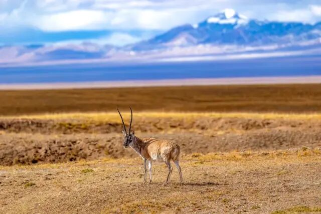 翡翠湖和茶卡盐湖哪个好_翡翠湖在哪里_翡翠湖旅游攻略