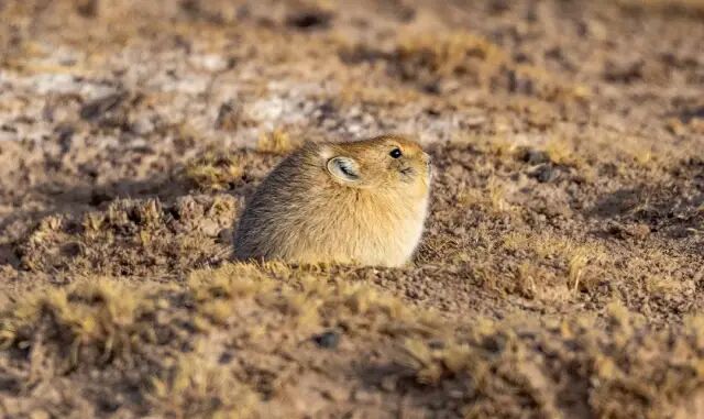 翡翠湖旅游攻略_翡翠湖在哪里_翡翠湖和茶卡盐湖哪个好