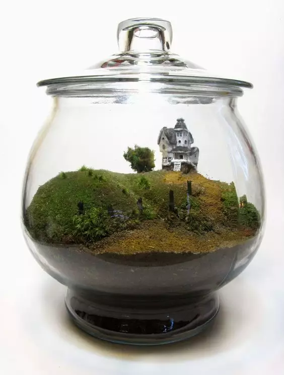 你家没地方种花?6招教你打造室内花园! 你家没地方种花?6招教你打造室内花园!