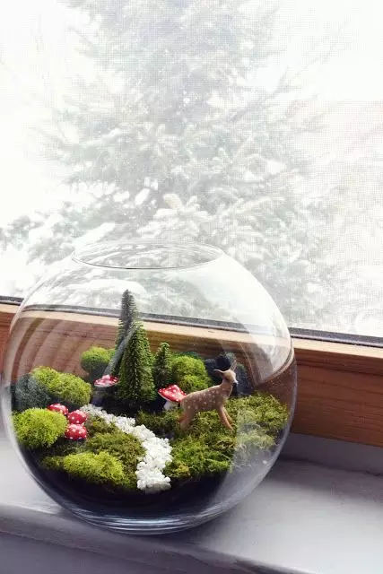 你家没地方种花?6招教你打造室内花园! 你家没地方种花?6招教你打造室内花园!