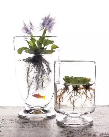 你家没地方种花?6招教你打造室内花园! 你家没地方种花?6招教你打造室内花园!