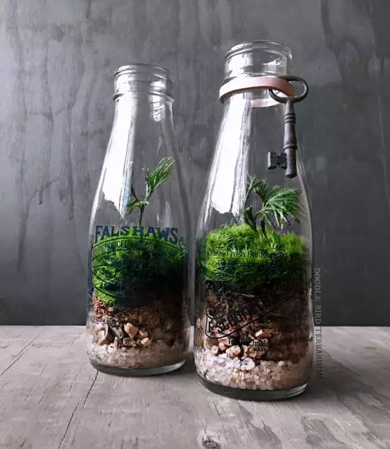 你家没地方种花?6招教你打造室内花园! 你家没地方种花?6招教你打造室内花园!