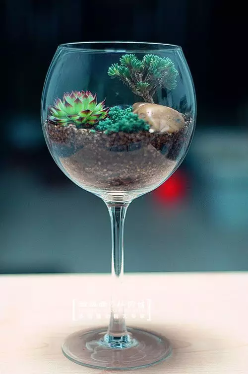 你家没地方种花?6招教你打造室内花园! 你家没地方种花?6招教你打造室内花园!