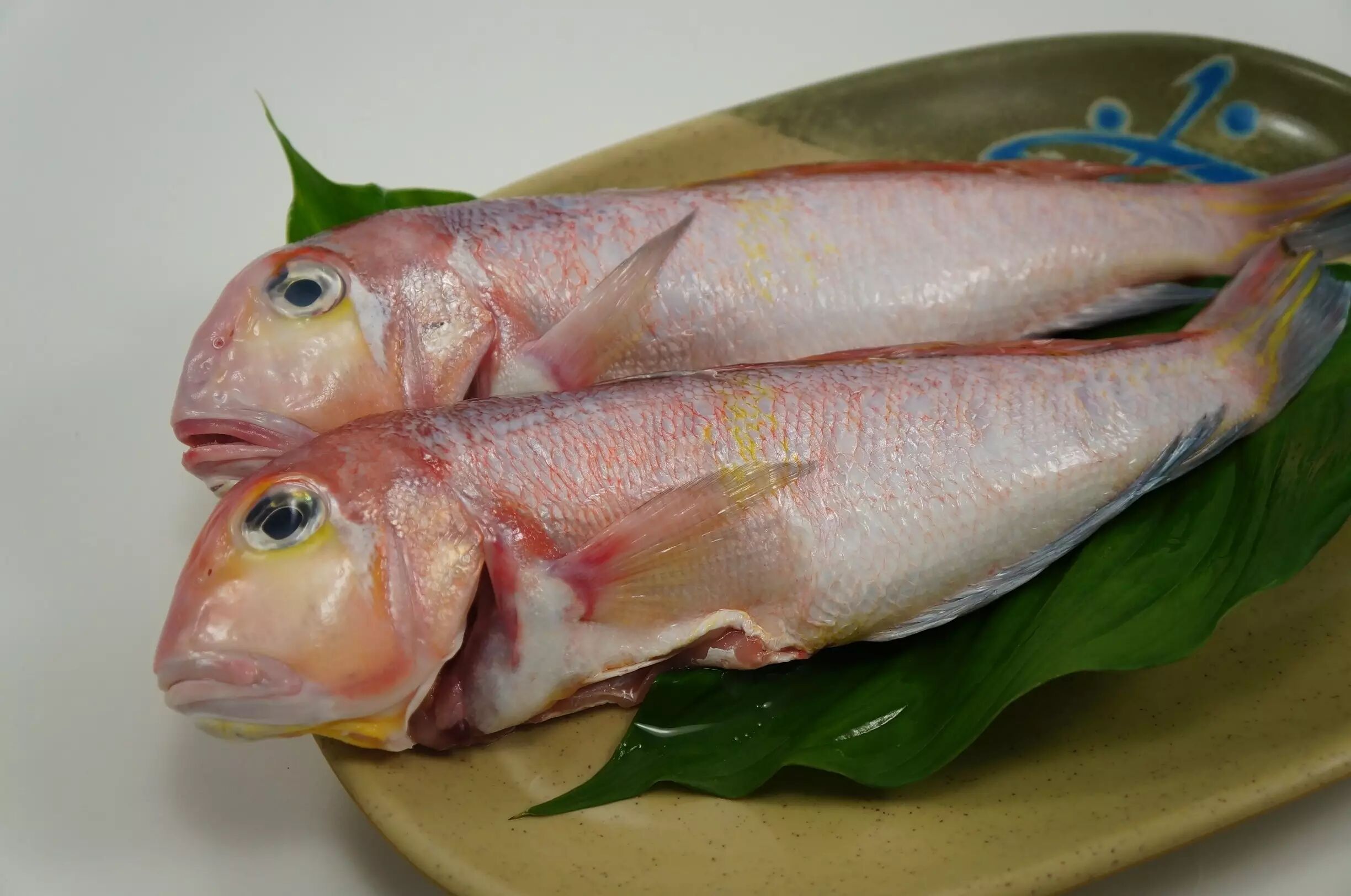 舟山一渔老大整理的海鲜大全