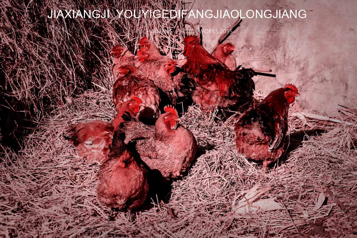 建筑师的家乡记有一个地方叫龙江