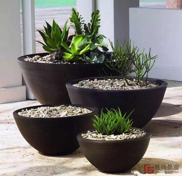 精致的室外花钵一