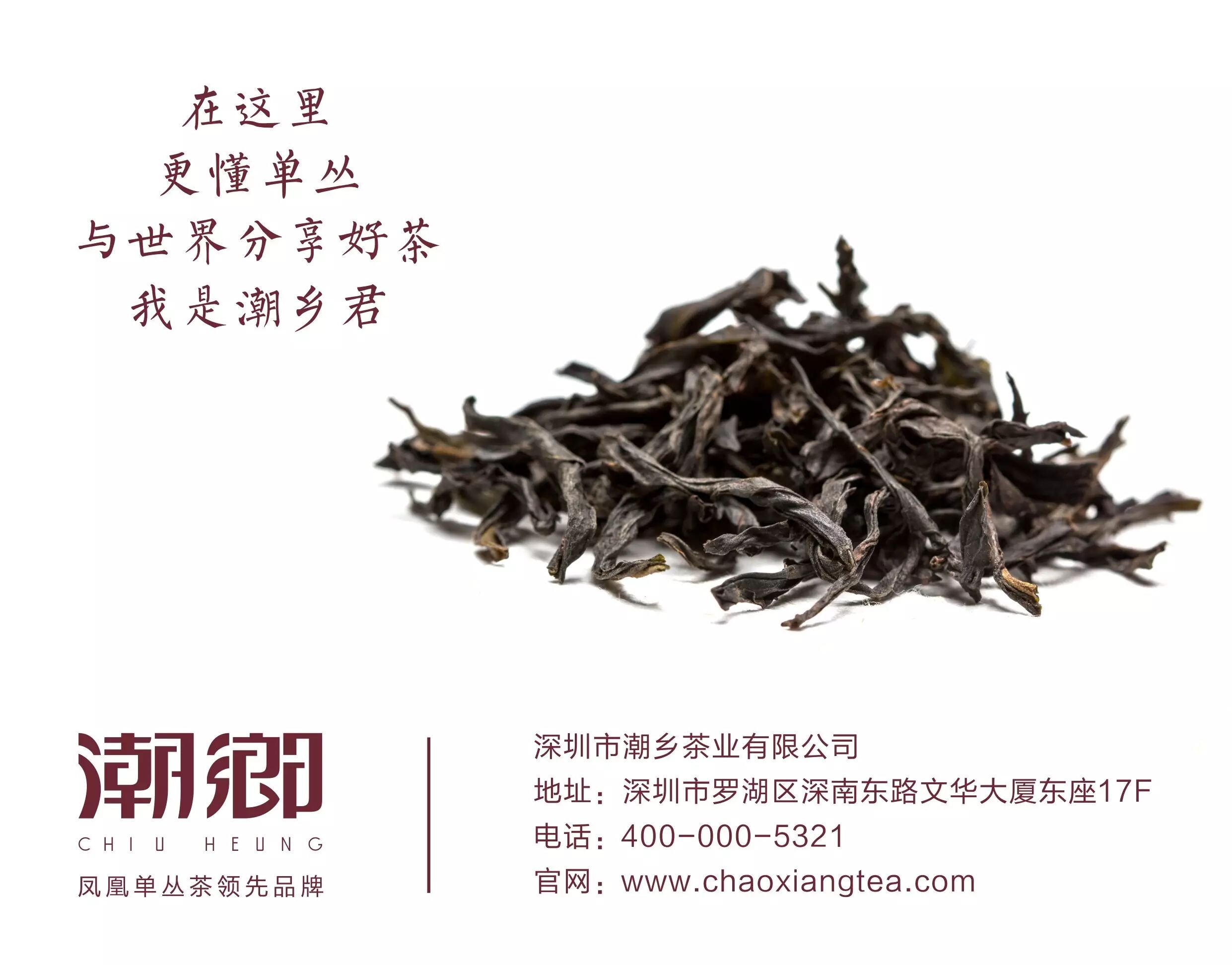 干货!百年寒潮后,凤凰单丛的产量及价格走势大分析