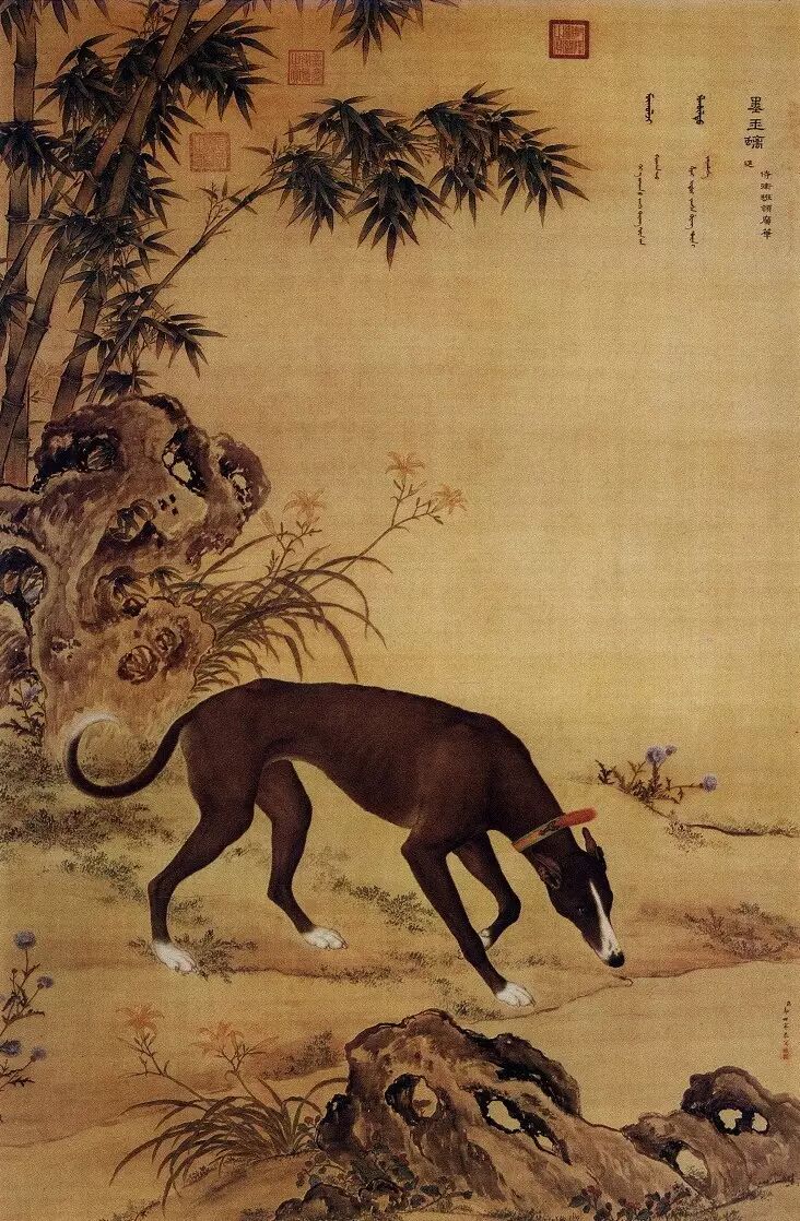 墨玉螭郎世宁《十骏犬之苍水虬图》,虬,又叫虯,是头上有两角的小龙.