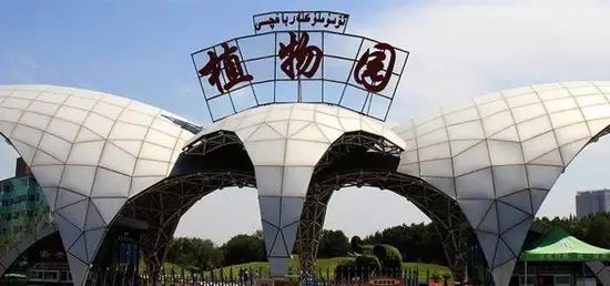 再過2天,新疆這些東西統統免費!不知道你就虧大了!