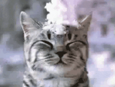 被大风吹过是怎样的体验