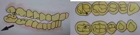 1506475998_290565.jpeg
