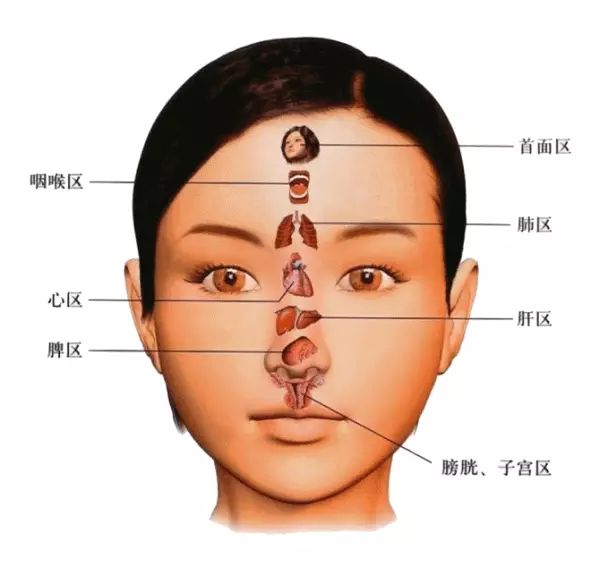 ​面 诊 (一看就懂，一学就会）