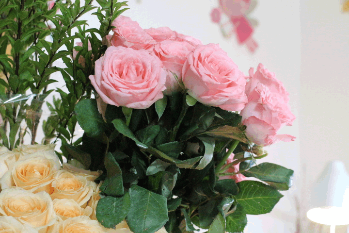 720_480gif 动态图 动图