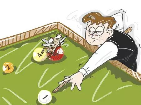 击倒世界冠军的苍蝇