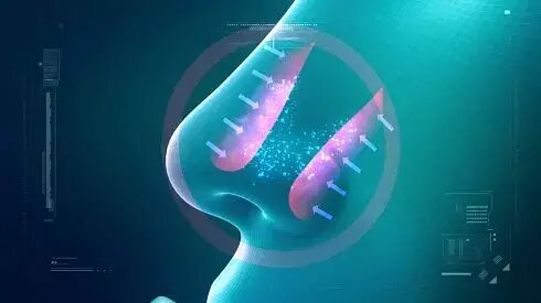 鼻炎的症状有哪些表现?又该如何调理鼻炎？