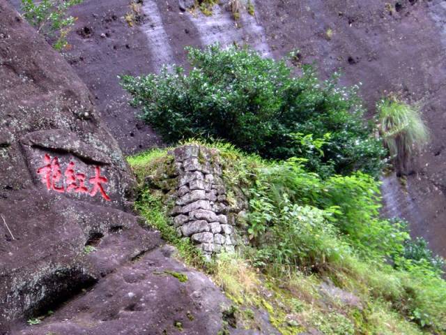 武夷山所產的青茶都被統稱為武夷巖茶