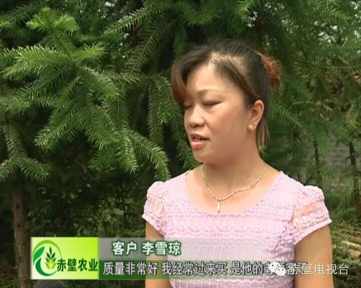 那山那水那"凤凰" 八零小伙放飞致富梦想