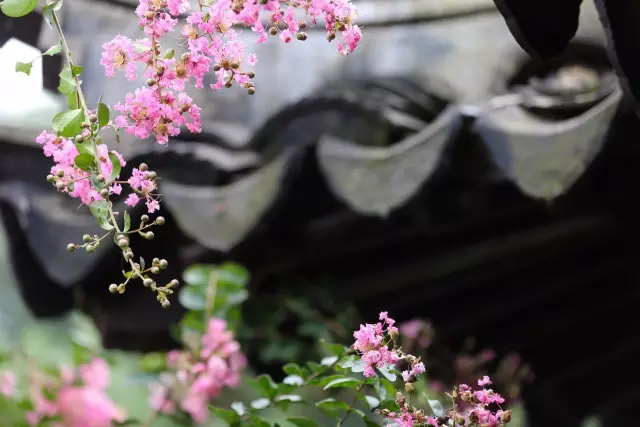 红木家具图片