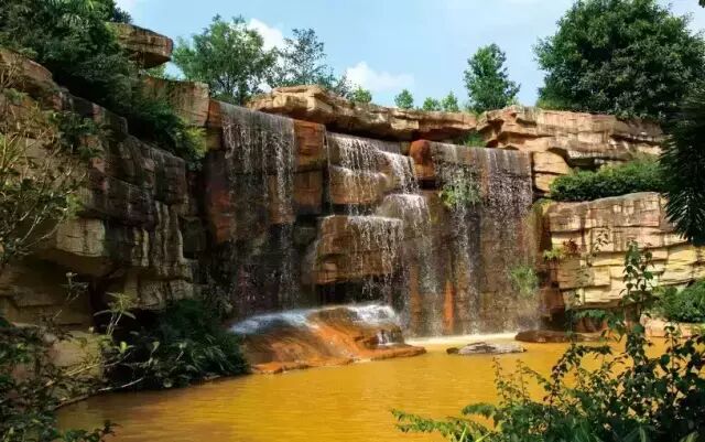 必备的假山植物造景技巧！