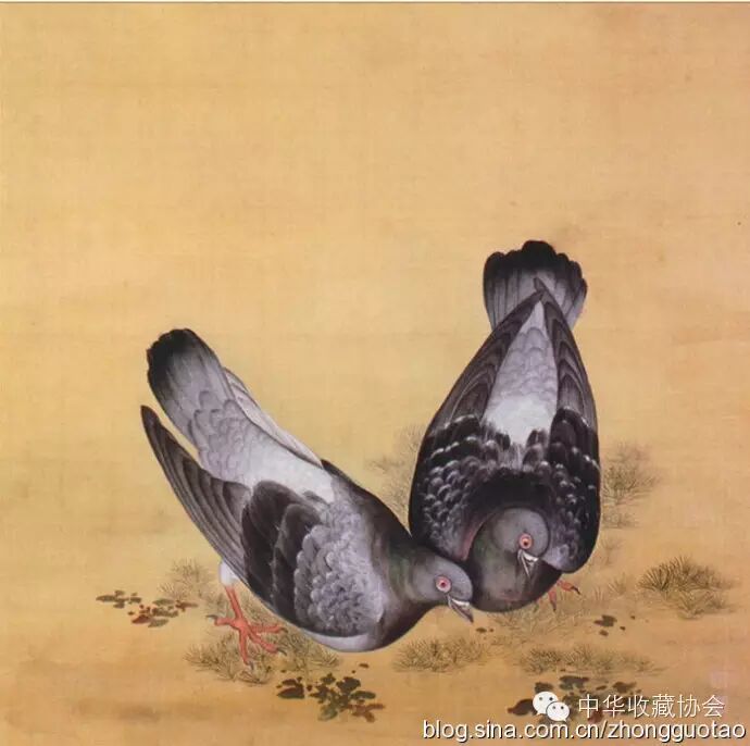 清庭画家蒋廷锡的禽虫典之鹁鸽谱