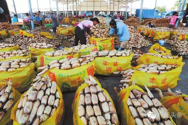 【家乡的好货】广西50多个标志性特产,你最喜欢哪个?